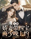 大佬娇妻带四宝,商少晚上约