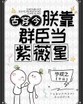 朕靠群臣当紫薇星(古穿今)