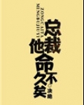 总裁他命不久矣(老祖地球生活指南)