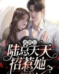离婚后陆总天天招惹她