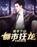 高手下山:都市狂龙