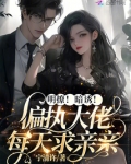 明撩!暗诱!偏执大佬每天求亲亲