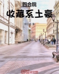 四合院：收藏系土豪