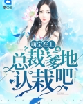 萌宝在上:总裁爹地认栽吧