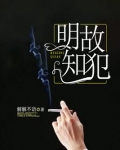 明知故犯