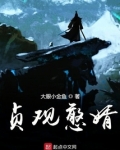 贞观憨婿