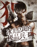 冰美总裁的极品兵王