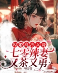 闪婚高冷兵哥,七零辣妻又茶又勇