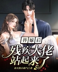 替嫁后,残疾大佬站起来了