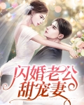 闪婚老公甜宠妻