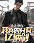 全球觉醒:我真的只有亿柄剑