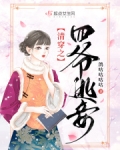 清穿之四爷逃妾