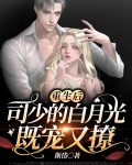 重生后,司少的白月光既宠又撩