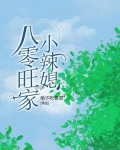 八零旺家小辣媳