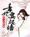 毒妃要爬墙,邪王追断腿
