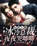 勾惹上瘾，冰冷总裁夜夜哭唧唧