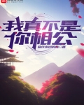 我真不是你相公