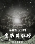 某霍格沃茨的魔法史教授