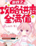游戏之攻略进度全满值