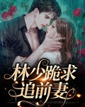林少跪求追前妻