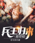 兵王归来做赘婿