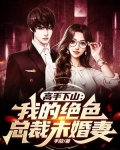 高手下山:我的绝色总裁未婚妻