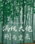 满级大佬删号重来