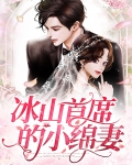 冰山首席的小绵妻