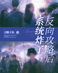 反向攻略后,系统炸了