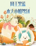 网王黑蓝:水火小姐驾到