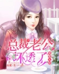 宠妻入骨:总裁老公,坏透了