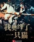 我契约了一只猫