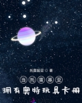 当托雷基亚拥有奥特玩具卡册
