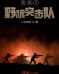 抗战之野狼突击队