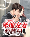 一胎俩宝,爹地宠妻要趁早