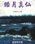 皓月真仙