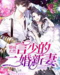 婚成天然:言少的二婚新妻