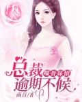 噬骨谋情:总裁逾期不候