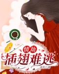 情劫:插翅难逃