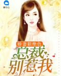 娇妻狠绝色:总裁别惹我
