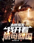 末世爆发,我开着航母回国