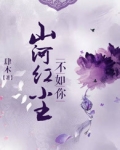 山河红尘不如你