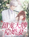 甜宠大牌隐婚妻