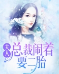 夫人,总裁闹着要二胎