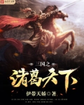 三国之诸葛天下