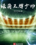 绿茵王牌少帅