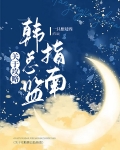关于攻略韩总监指南