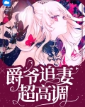 爵爷追妻超高调