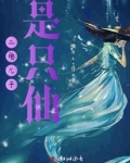 二胎儿子是只仙