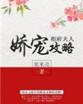 相府夫人娇宠攻略(重生)